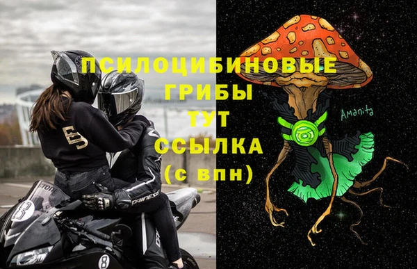 mdma Белокуриха
