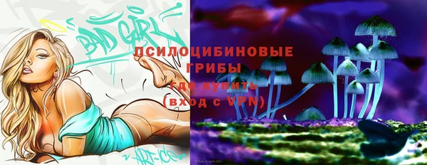 прущие грибы Белоозёрский